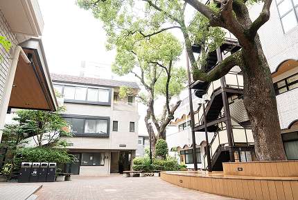 情報公開